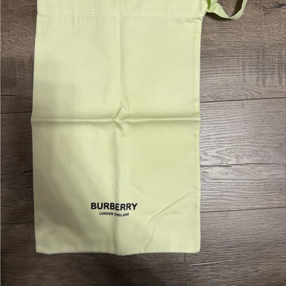Burberry Pale Green Storage Bag